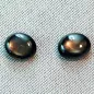 Preview: Zwei Stern Saphire mit Cabochon-Schliff als Pärchen mit zus. 10,80 ct. Gewicht, Zwei schwarze Steine mit spektakulärem goldbraunen Stern | Immer mit Zertifikat 2