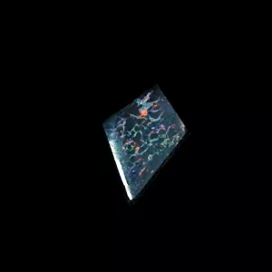 Koroit Boulder Opal 1,81 ct. aus Australien - Opale mit Zertifikat online kaufen - Multicolor Boulder Opal 12,52 x 8,57 x 2,73 mm  für Opalschmuck-6